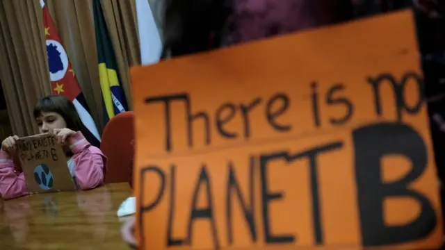 девочка и плакат "У нас нет планеты Б"