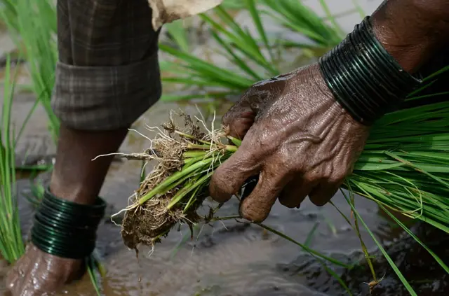 प्रातिनिधिक फोटो