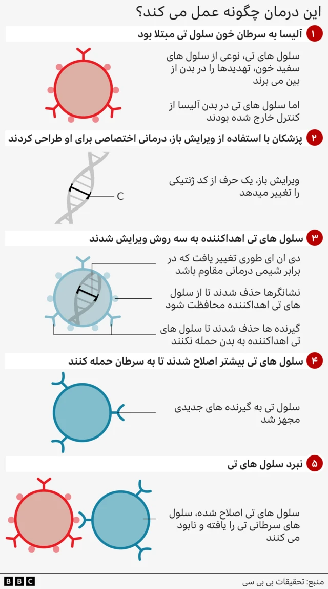فرآیند پنج‌ مرحله‌ای که نحوه عملکرد درمان را نشان می‌دهد. مرحله یک سلول قرمزرنگ دایره‌ای با ساختارهای Y شکل در سطح آن را به‌عنوان سلول‌های T سرطانی نشان می‌دهد. مرحله دو رشته‌ای از دی‌ان‌ای با یک C مشخص شده را نشان می‌دهد. مرحله سه سلول آبی ‌رنگ دایره‌ای با دی‌ان‌ای درون آن را به‌عنوان ویرایش سلول‌های T اهدایی نشان می‌دهد. مرحله چهار تغییر بیشتر سلول T را نشان می‌دهد. مرحله پنج سلول T آبی را در حال حمله به سلول سرطانی قرمز نشان می‌دهد.