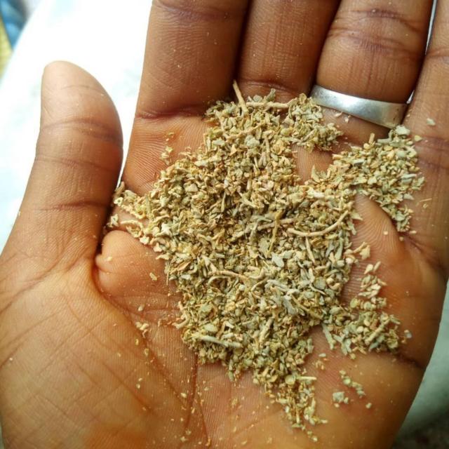 Dry Artemisia for pesin hand