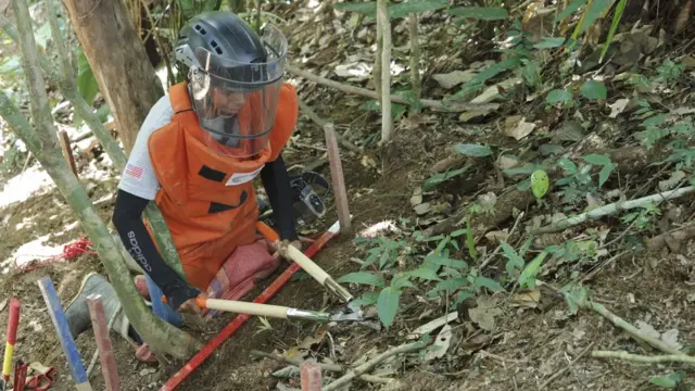 Ingris Saucedo trabajando en busca de explosivos (Foto: Natalio Cosoy/ BBC Mundo)