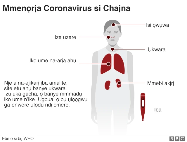 Coronavirus