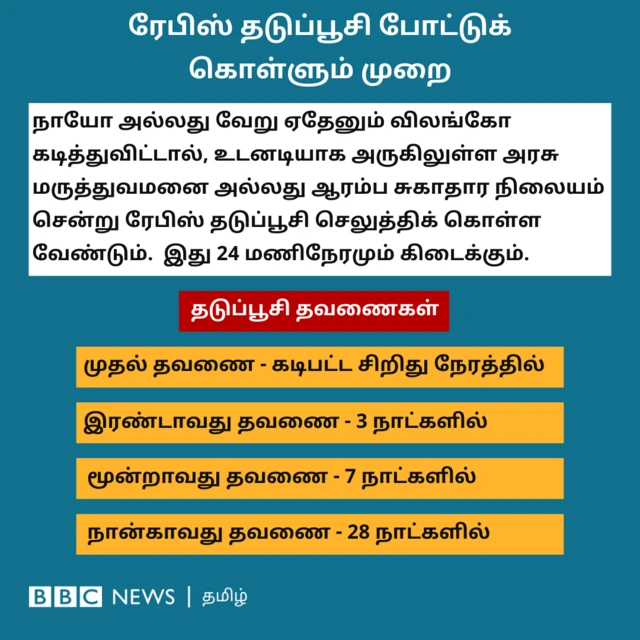 ரேபிஸ் தடுப்பூசி போட்டுக்கொள்ளும் முறை: நாயோ அல்லது வேறு ஏதேனும் விலங்கோ கடித்துவிட்டால், சிறிதும் தாமதிக்காமல் உடனே அரசு மருத்துவமனை அல்லது ஆரம்ப சுகாதார நிலையம் சென்று ரேபிஸ் தடுப்பூசி செலுத்திக் கொள்ள வேண்டும். இது 24 மணிநேரமும் கிடைக்கும். முதல் தவணை கடிபட்ட சிறிது நேரத்தில் போடப்பட வேண்டும், இரண்டாவது தவணை 3 நாட்களிலும், மூன்றாவது தவணை 7 நாட்களிலும், நான்காவது தவணை 28 நாட்களிலும் போடப்பட வேண்டும்.
