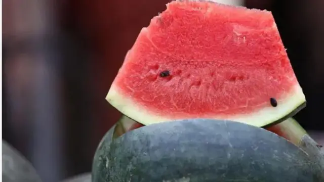 Aworan watermelon pẹlu kóró rẹ