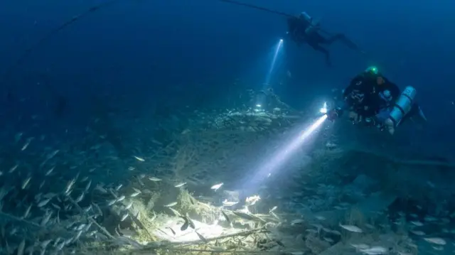 SS Nantes під водою. Навколо затонулого судна багато риби, а водолази мають ліхтарики