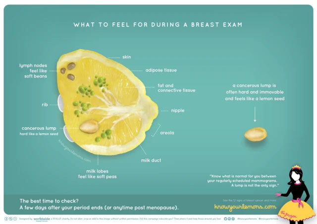 рак грудей інфографіка