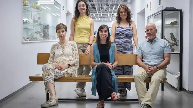 निएंडरथल