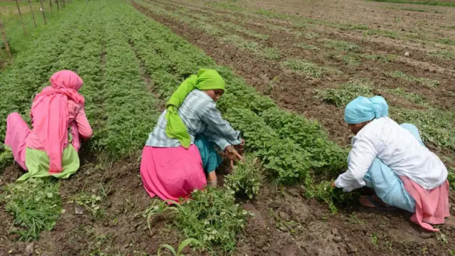 இயற்கை வேளாண்மை