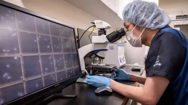 Dhalmo la'aanta ragga