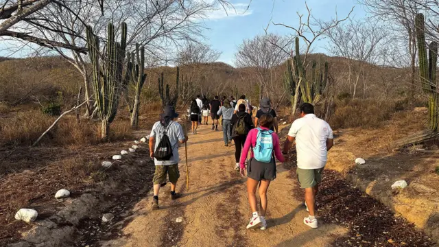 Grupo de turistas caminan durante un tour en las Islas María.