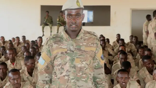 Wasaaradda Gaashaandhigga Soomaaliya