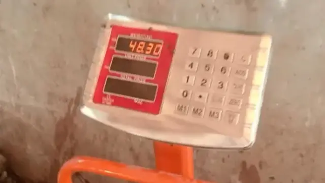 مچھلی کا وزن