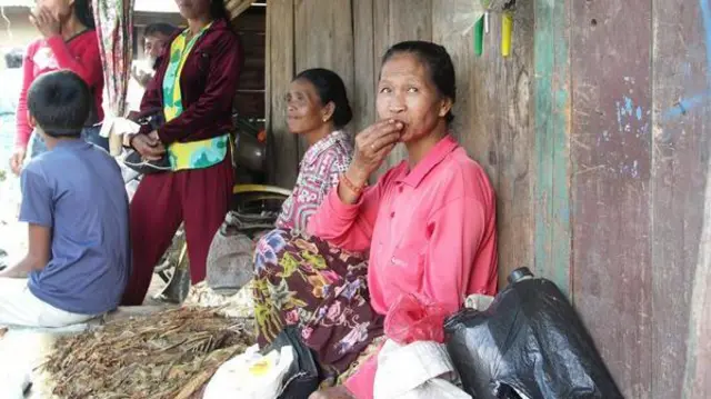 Flora Carita: Pinang