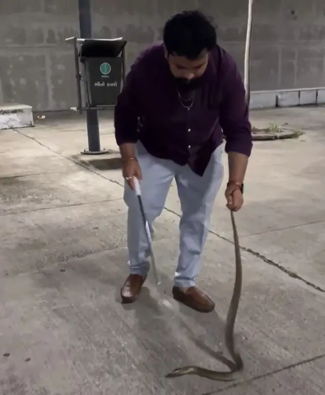 સાબરમતી, રીવરફ્રન્ટ, સાપ, વરસાદ. ધરોઈ ડેમ, ગુજરાત, હવામાન, તાપમાન, ક્લાઇમેટ ચેન્જ, આબોહવા