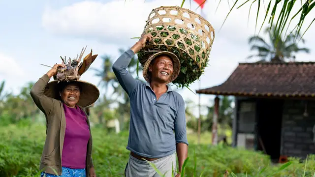 bapak rumah tangga, maskulin