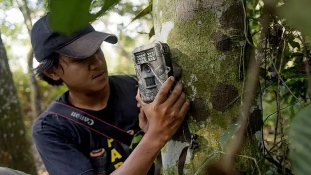 Tume ya Kitaifa ya Kuhifadhi inakadiria kwamba kulikuwa na chui 1,411 nchini India mwaka wa 2006.