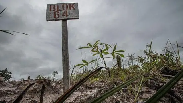 Lahan food estate di Kabupaten Gunung Mas, Kalteng, yang sempat terlantar karena perkebunan singkong gagal atau tidak kunjung panen.