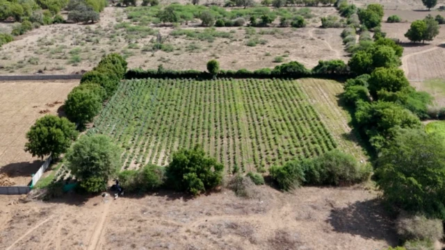 ஒலிம்பிக் 2036: இந்தியாவில் நடத்தும் யோசனையை குஜராத் விவசாயிகள் எதிர்ப்பது ஏன்?