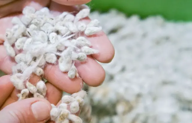 પ્રતીકાત્મક તસવીર