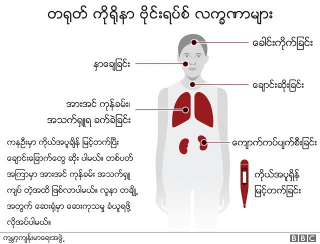 အသက်ရှုလမ်းကြောင်း နဲ့ ဆက်စပ်တဲ့ ရောဂါ လက္ခဏာ တွေ ဖြစ်ပေါ်