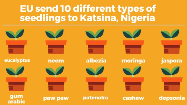 This na the 10 different types of seedlings wey European Union give Katsina State, Nigeria