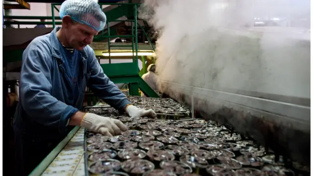 Рыбокомбинат на острове Шикотан