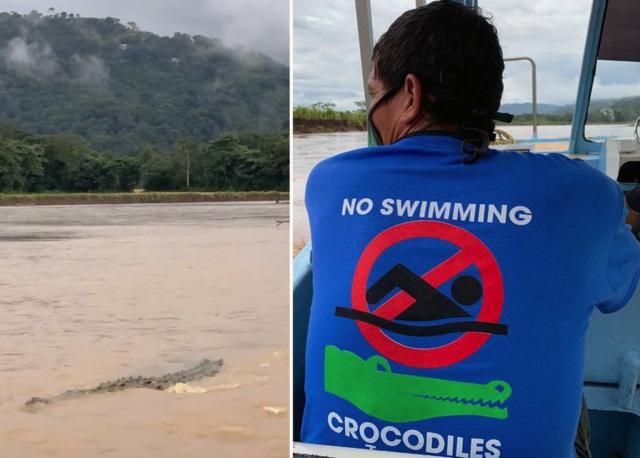 Tourcomo apostar na betwaycrocodilos