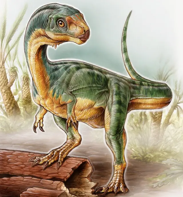 Chilesaurus