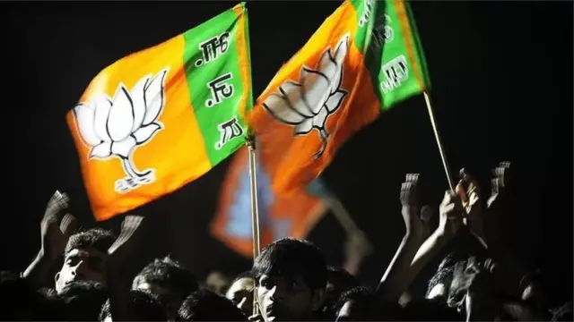 ભાજપના ટીકાકારોનું કહેવું છે કે મુસ્લિમો પ્રત્યે વૈમનસ્યને રાજકારણના કેન્દ્રમાં લાવવો પાર્ટીની પૉપ્યુલર અપીલમાં વધારોનું મહત્ત્વપૂર્ણ કારણ રહ્યું છે