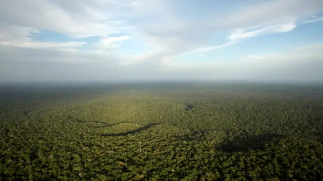 Vista da floresta amazônica