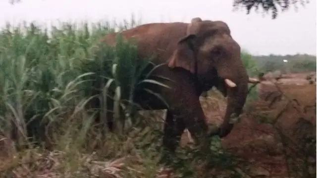 சின்னத்தம்பி