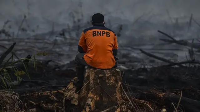 மலேசிய காட்டுத் தீ: பரவும் புகைமூட்டம், மூச்சுத் திணறும் மக்கள் - அமேசான் காடும், இந்தோனீசியா நாடும்