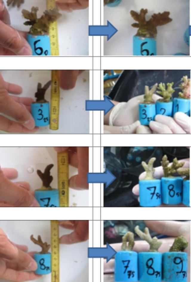 สถาบันวิจัยทรัพยากรทางน้ำ จุฬาลงกรณ์มหาวิทยาลัย