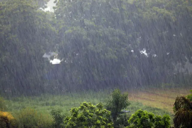 Gujarat Rain : ગુજરાતના કયા જિલ્લામાં ભારેથી અતિભારે વરસાદ પડવાની આગાહી છે?  ક્યાં પડશે સતત વરસાદ? - BBC News ગુજરાતી