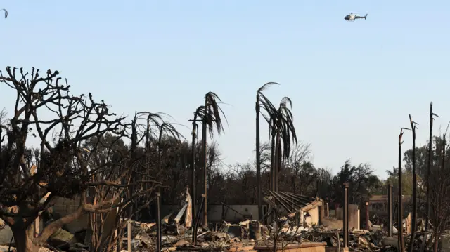 क्यालिफोर्निया डढेलो