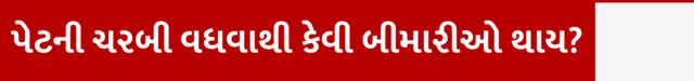 બીબીસી ગુજરાતી આરોગ્ય હેલ્થ ચરબી પેટ સ્થુળતા ડાયાબિટીસ વજન પ્રોટીન આહાર હૃદય રોગ