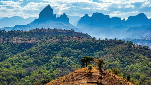 Les sommets spectaculaires des montagnes du Simien constituent l'un des paysages les plus saisissants du pays (Crédit : Alamy)