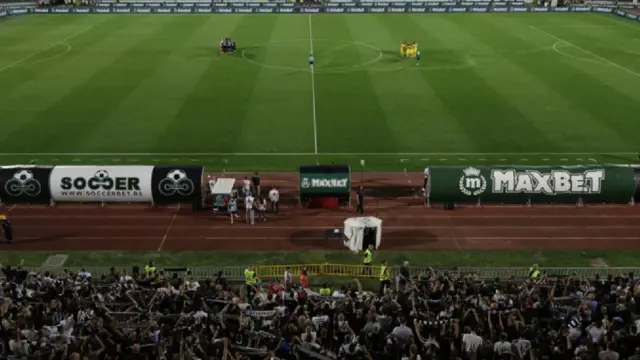 stadion partizana, zelena trava