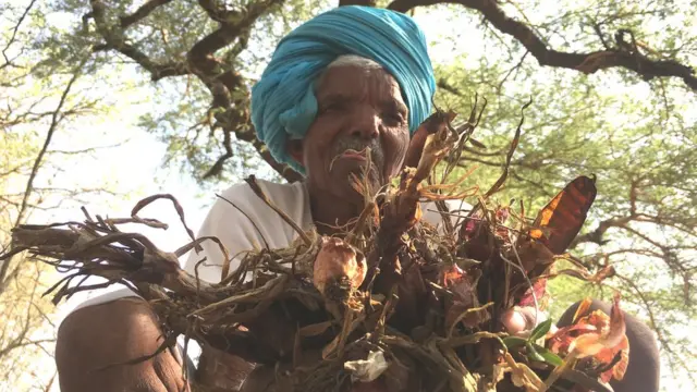 कंवर लाल