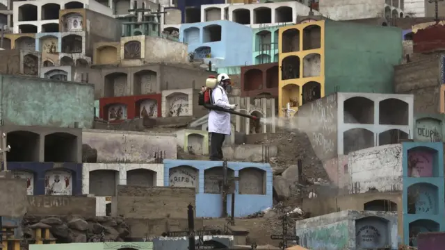 Обработка от вируса Зика