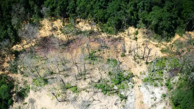 Áreacaça nikigarimpo na Amazônia