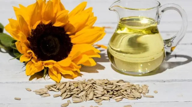 ఆహారం, ఆరోగ్యం, మిల్లెట్స్, తృణధాన్యాలు, విత్తనాలు, వైద్యం