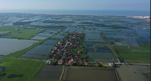 pantura, pantai utara jawa, tenggelam, PSN, KEK, industri