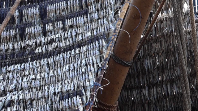 ఉప్పు చేపలు