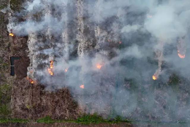 Kebakaran hutan dan lahan