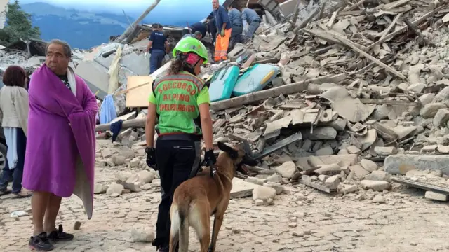 Cães farejadores