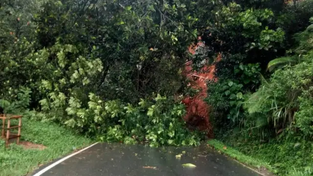 இலங்கை மழை