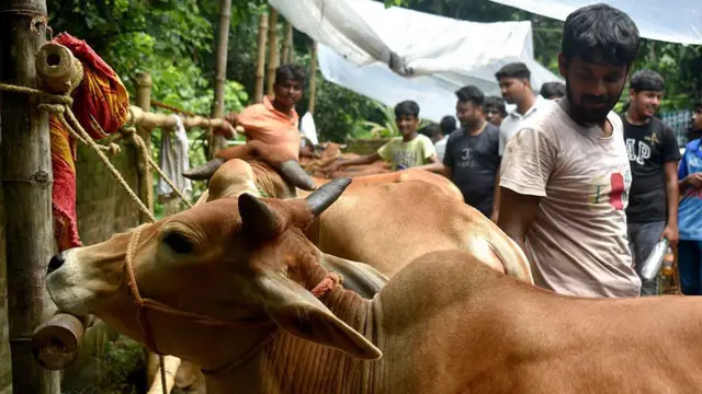 কলকাতায় একটি গরুর হাট - ফাইল ছবি