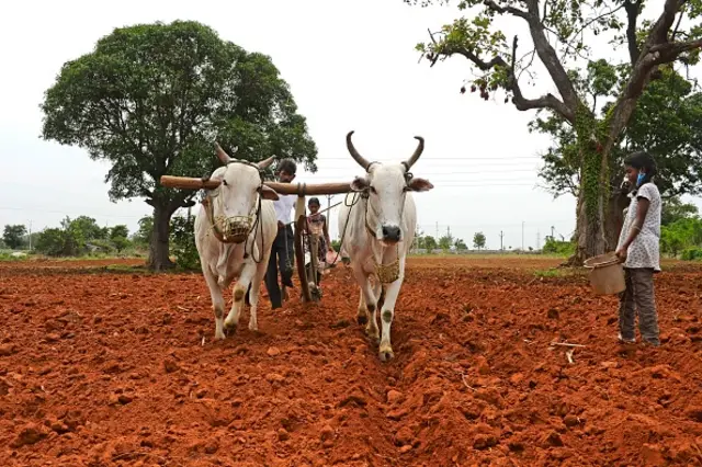 પ્રતીકાત્મક તસવીર