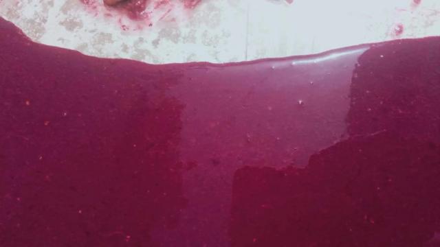 No México e na América Central, povos indígenas empregam um método muito diferentesimulador lotomaniatingimento com Murex: eles esfregam os caramujos vivos diretamente sobre o tecido